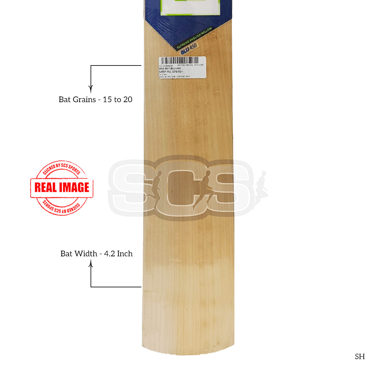 DSC Blu 450 English Willow Cricket Bat