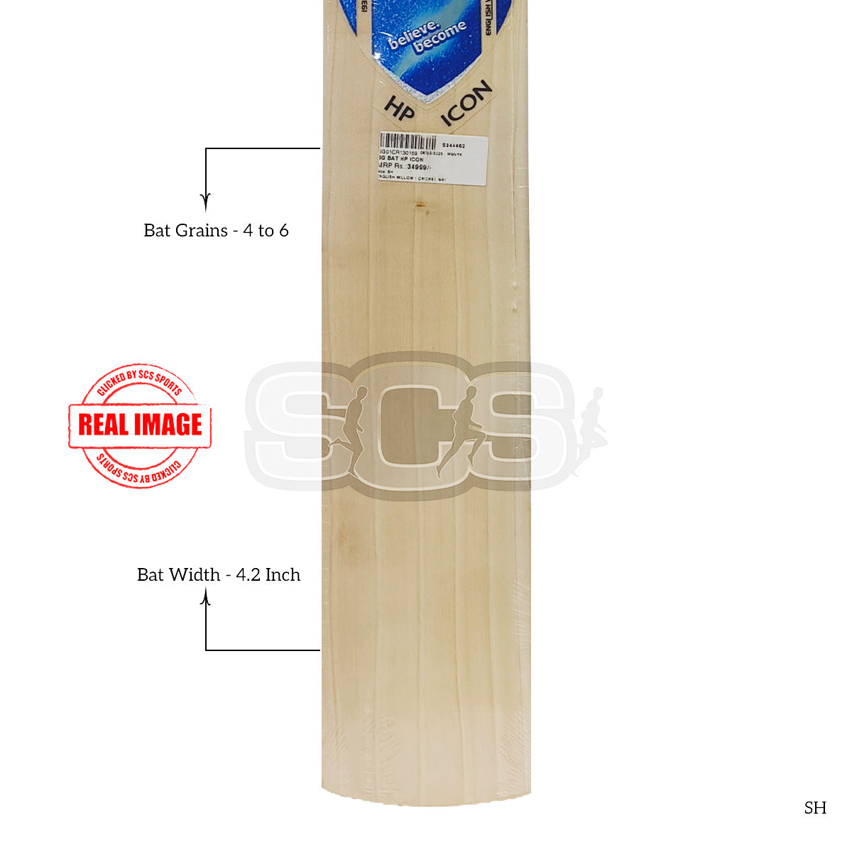SG Hp Icon English Willow Cricket Bat