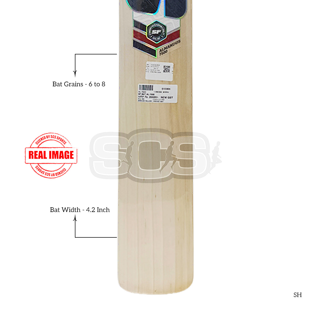 SF AL-7500 English Willow Cricket Bat