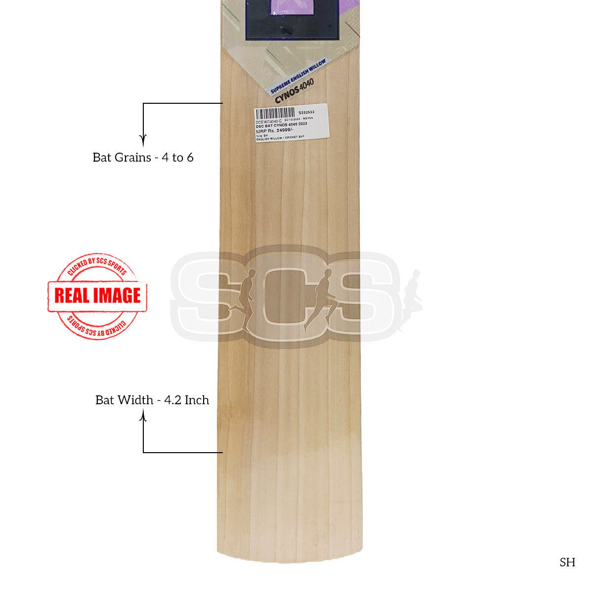 DSC Cynos 4040 2023 English Willow Cricket Bat