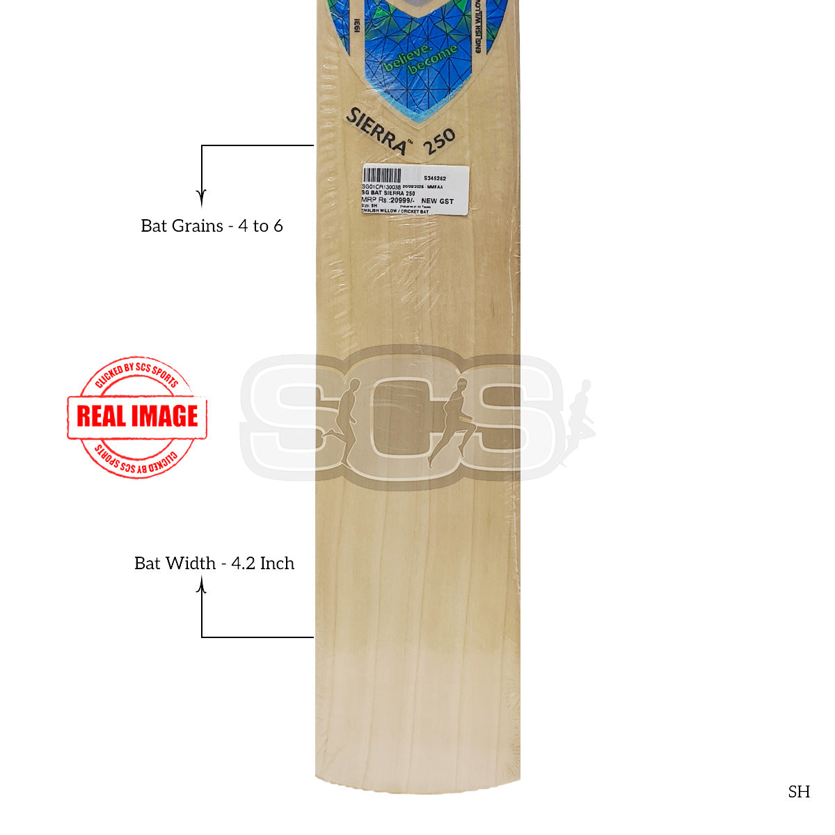SG Sierra 250 English Willow Cricket Bat