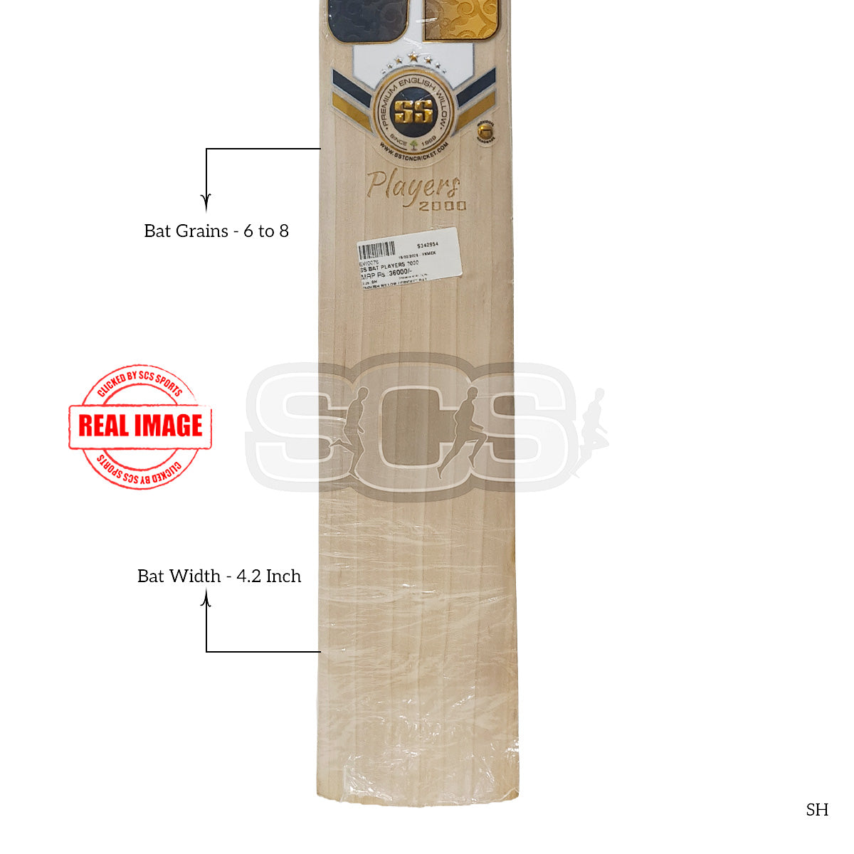 SS Players 2000 English Willow Cricket Bat