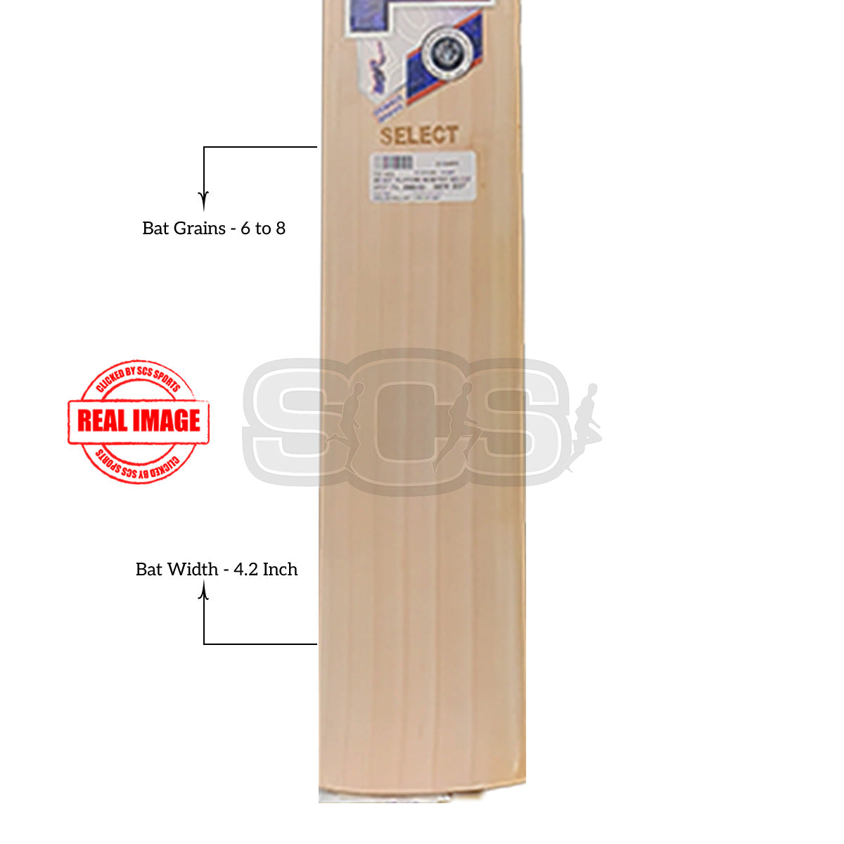 SS Player Reserve Dewald Brevis English Willow Cricket Bat