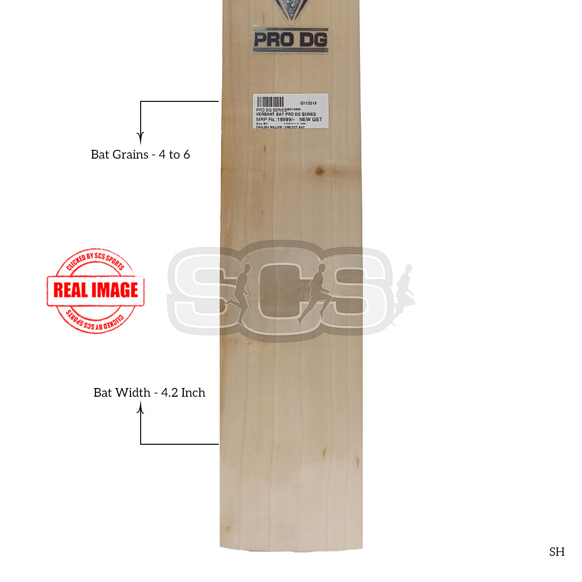 Versant Pro DG Series English Willow Cricket Bat