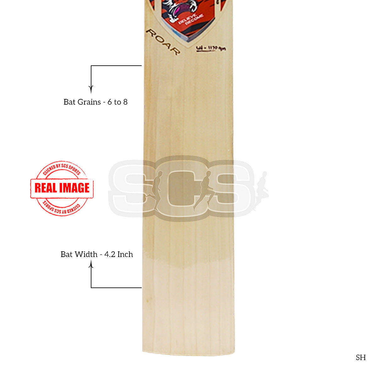SG Roar English Willow Cricket Bat