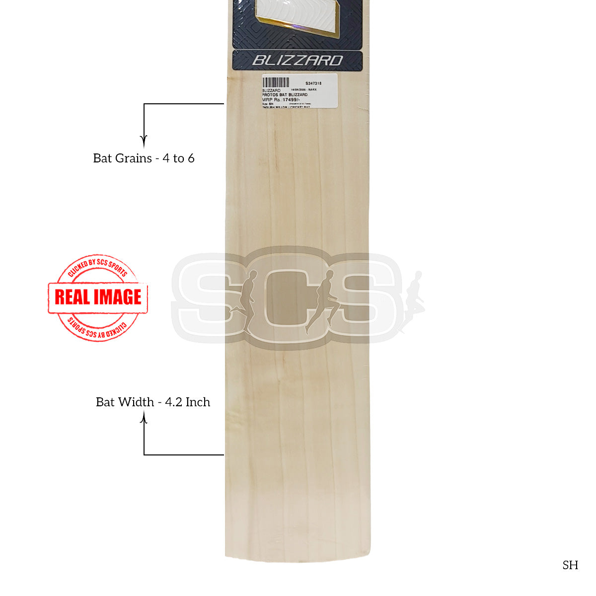 Protos Blizzard English Willow Cicket Bat