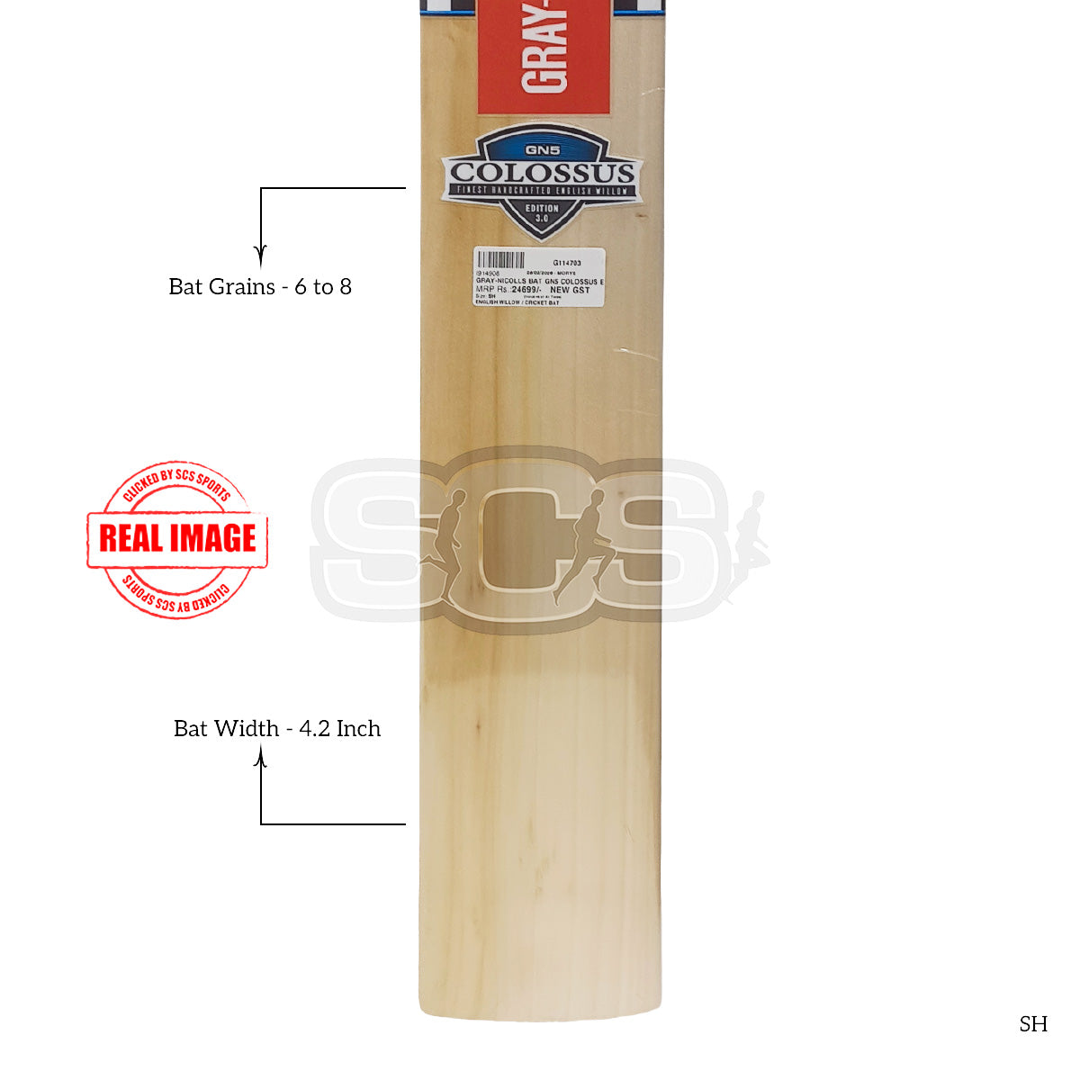 Gray Nicolls Colossus GN5 English Willow Cricket Bat