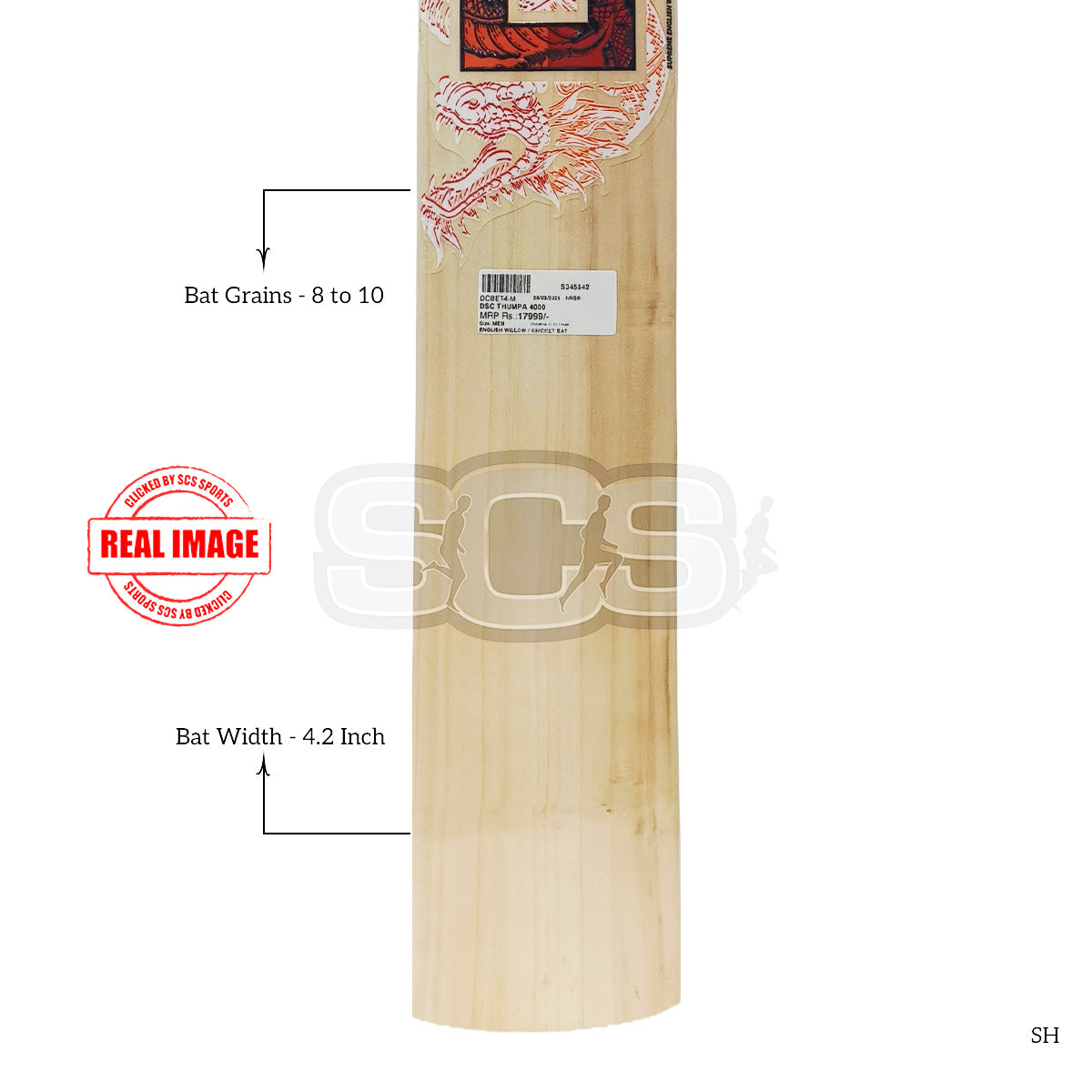 DSC Thumpa 4000 English Willow Cricket Bat