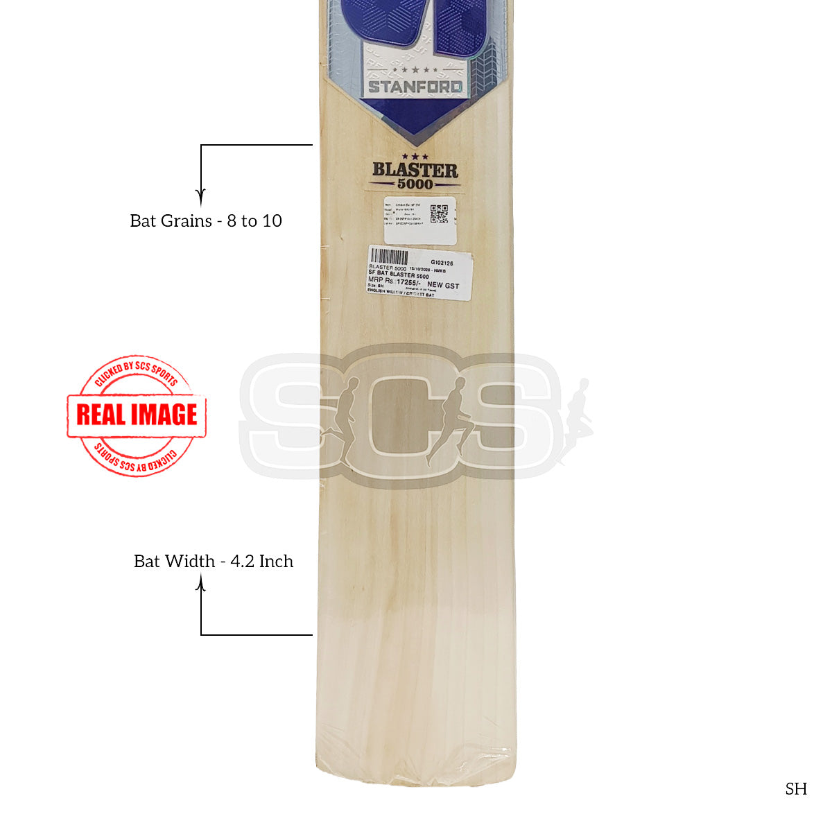 SF Blaster 5000 English Willow Cricket Bat