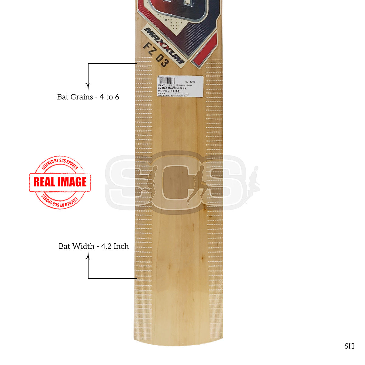 EM Maxxum FZ 03 English Willow Cricket Bat