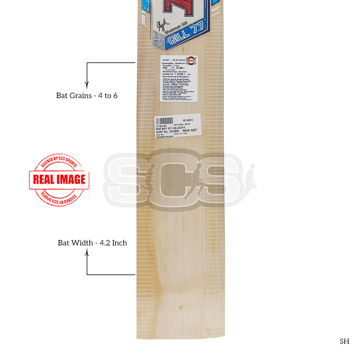 MRF G77-Velocity English Willow Cricket Bat
