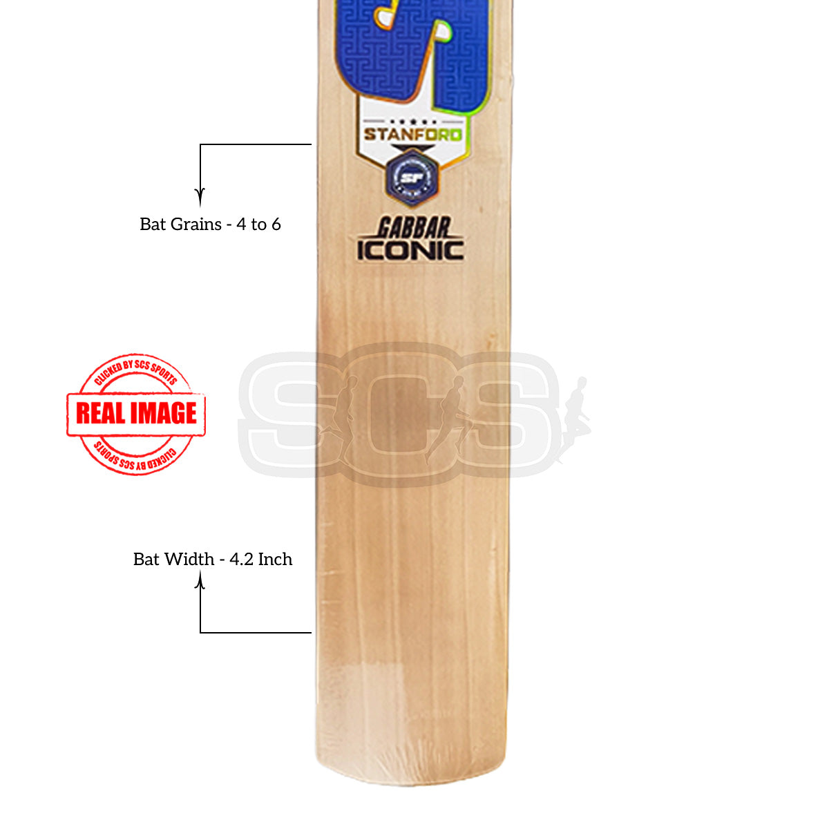 SF Gabbar Iconic English Willow Cricket Bat