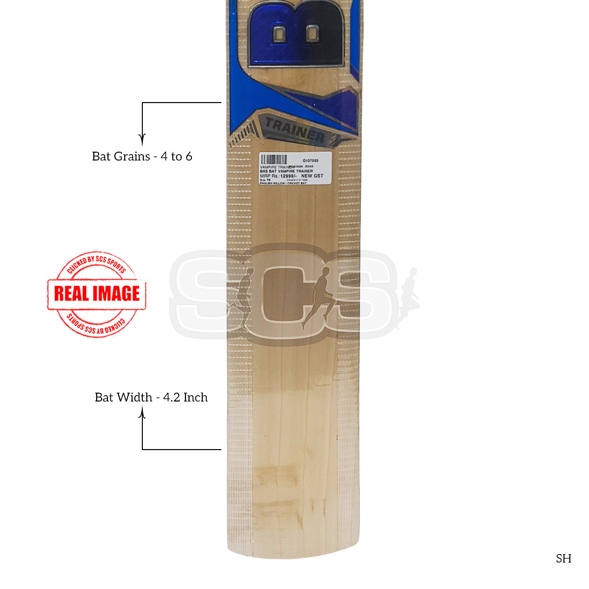 BAS Vampire Trainer English Willow Cricket Bat
