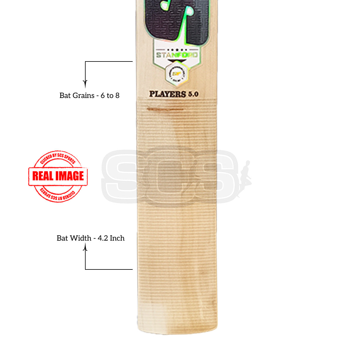 SF Players 5.0 English Willow Cricket Bat