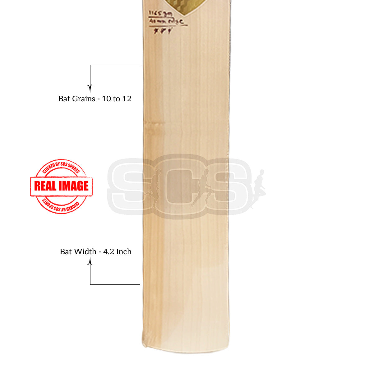 SG Sunny Gold English Willow Cricket Bat