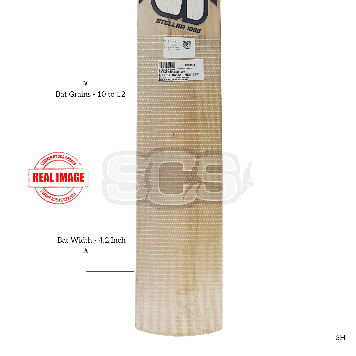 SF Steller 1000 English Willow Cricket Bat