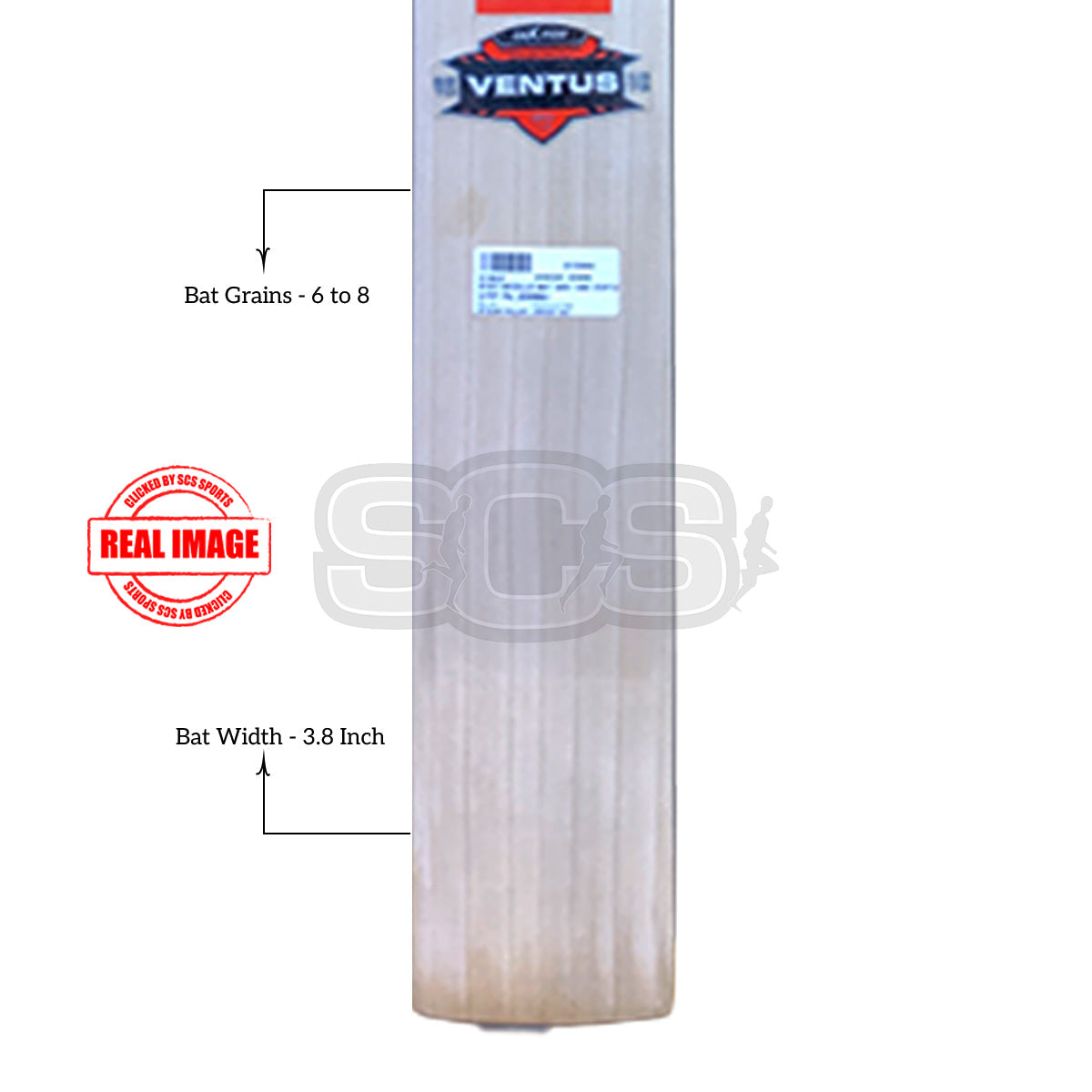 Gray-Nicolls GNX 1400 Ventus English Willow Cricket Bat (6)