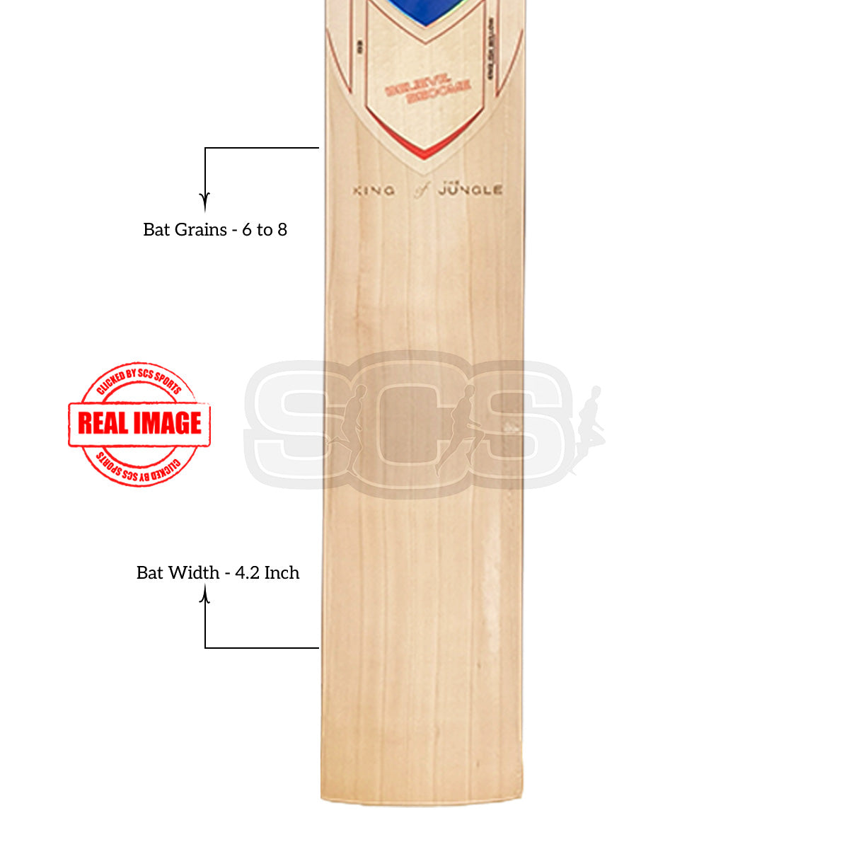 SG King Of The Jungle 3 English Willow Cricket Bat