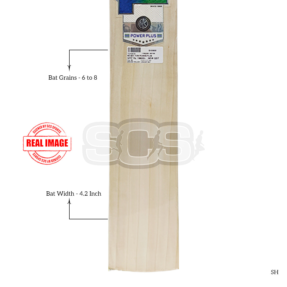 SS Ton Power Plus English Willow Cricket Bat