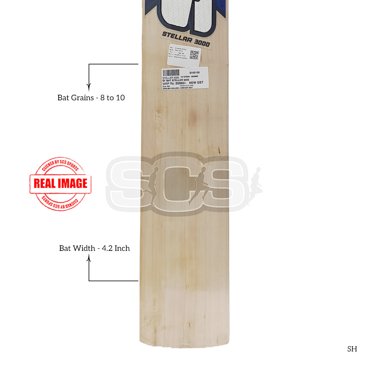 SF Steller 3000 English Willow Cricket Bat