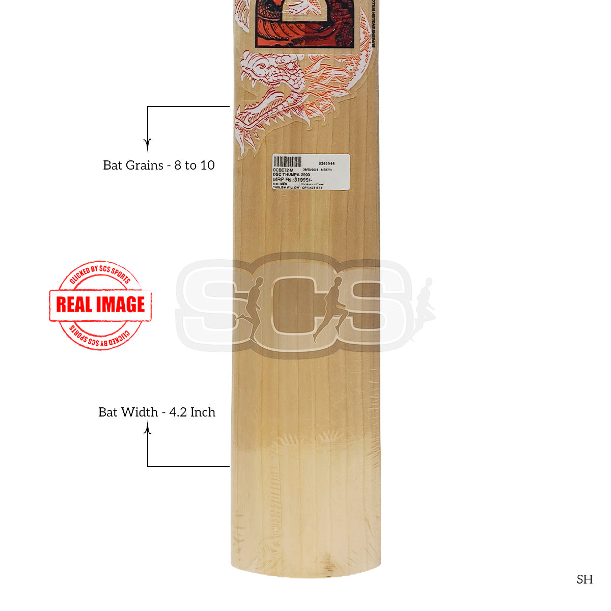 DSC Thumpa 2000 English Willow Cricket Bat