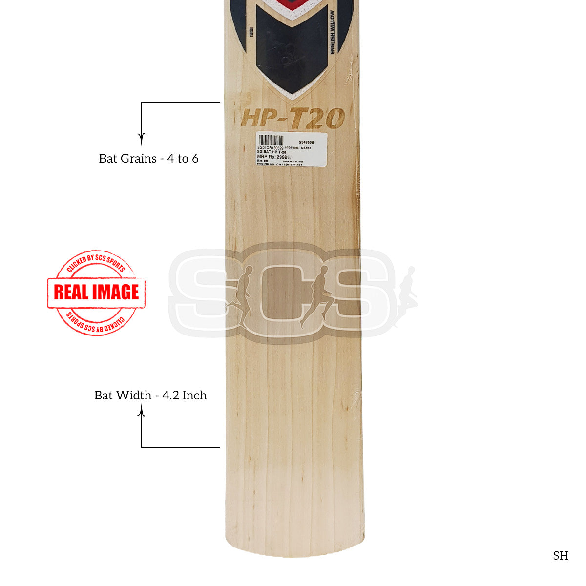 SG HP T-20 English Willow Cricket Bat