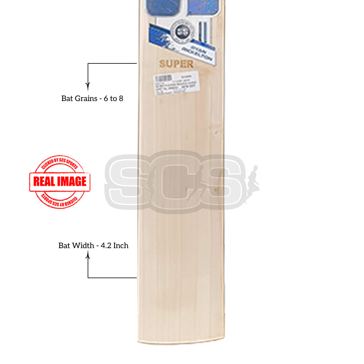 SS Player Reserve Ryan Rickelton English Willow Cricket Bat