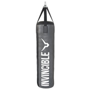 Invincible Strong PVC Punching Bag