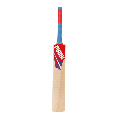 Puma Delhi City Kashmir Willow Cricket Bat