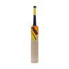 Puma Chennai City Kashmir Willow Cricket Bat