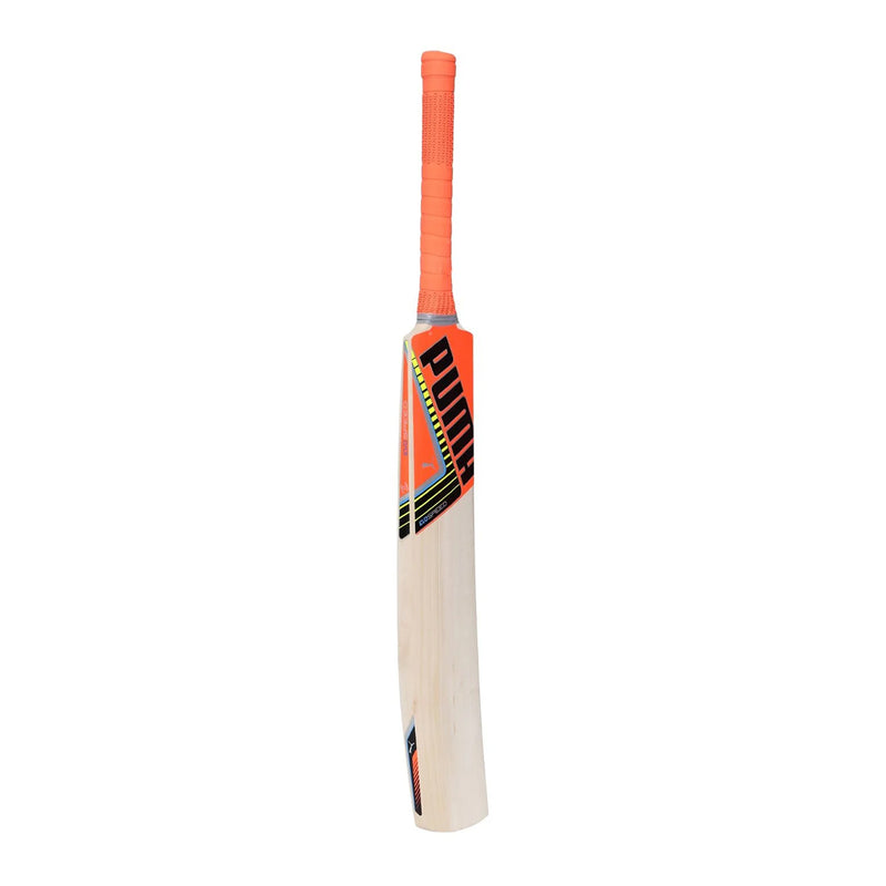 Load image into Gallery viewer, Puma Evospeed 2.5 16 Kashmir Willow Cricket Bat
