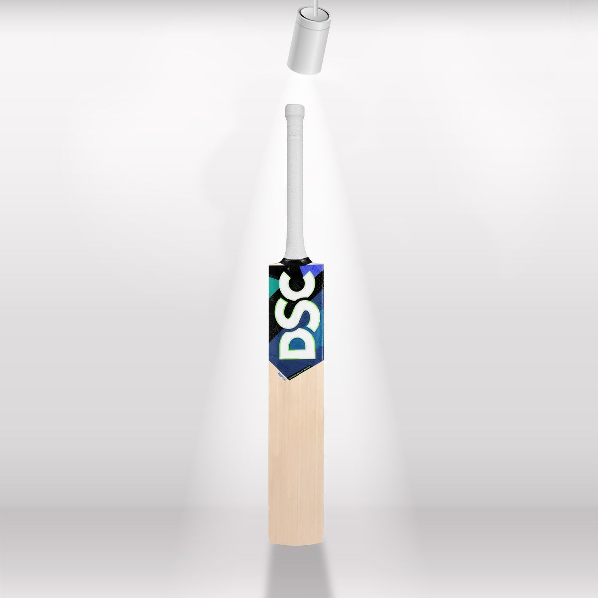 DSC Blu 200 English Willow Cricket Bat