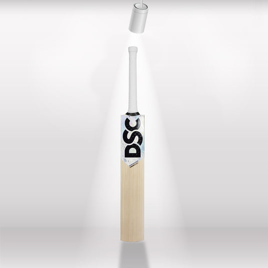 DSC Condor Glider English Willow Cricket Bat