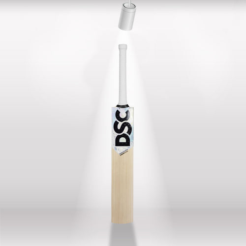 DSC Condor Motion English Willow Cricket Bat