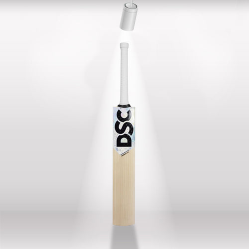 DSC Condor Surge English Willow Cricket Bat