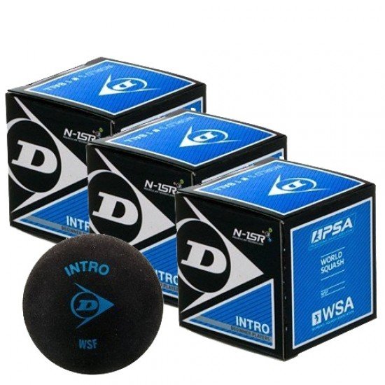 Load image into Gallery viewer, Dunlop Blue Dot Squash Ball
