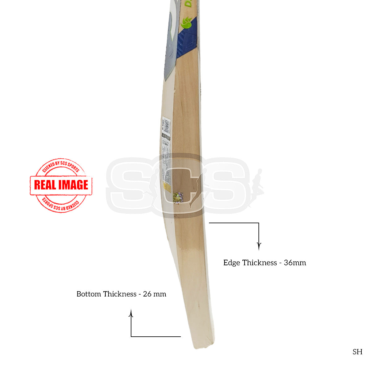 DSC Blu 450 English Willow Cricket Bat