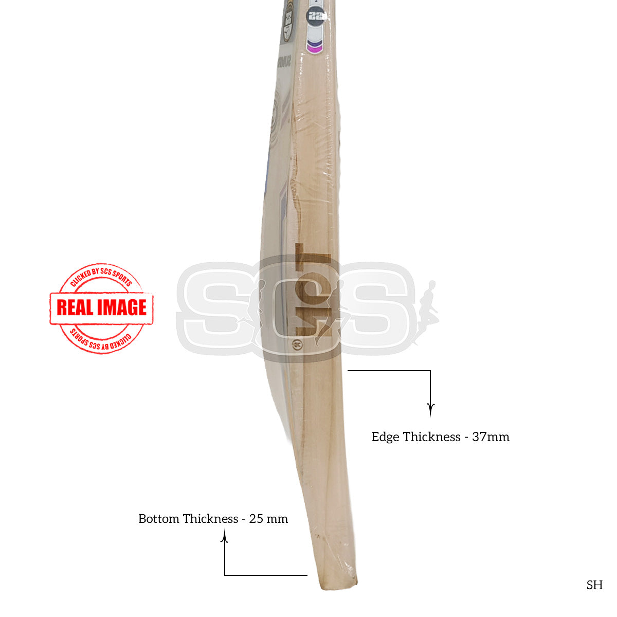 SS Blast English Willow Cricket Bat