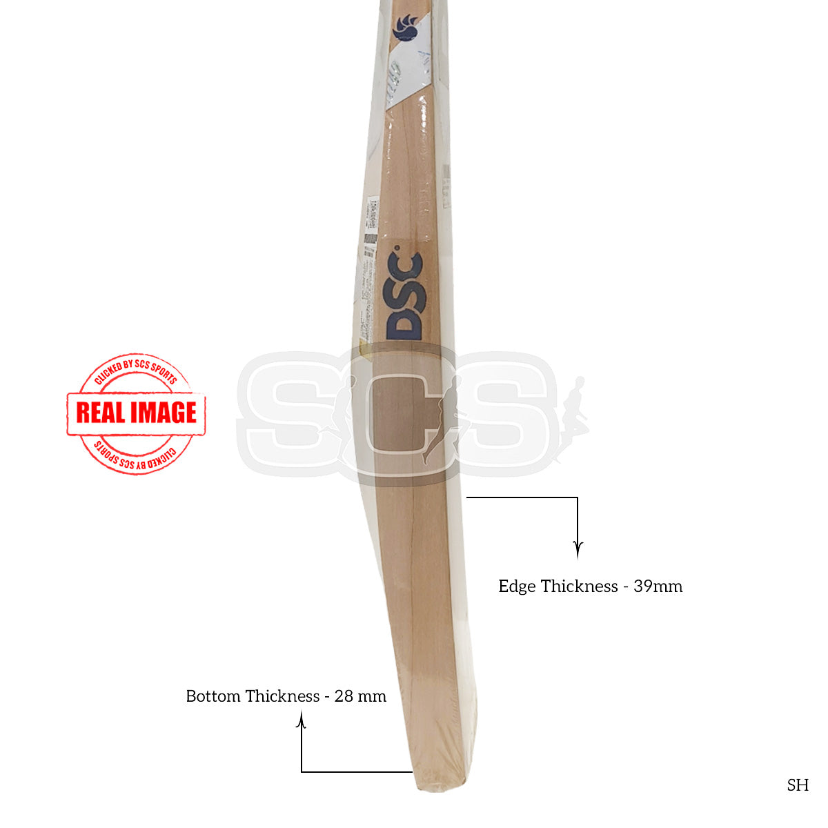 DSC Condor Motion English Willow Cricket Bat