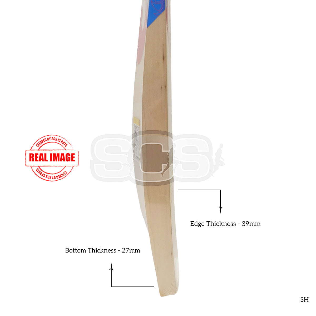 DSC Intense Shoc English Willow Cricket Bat