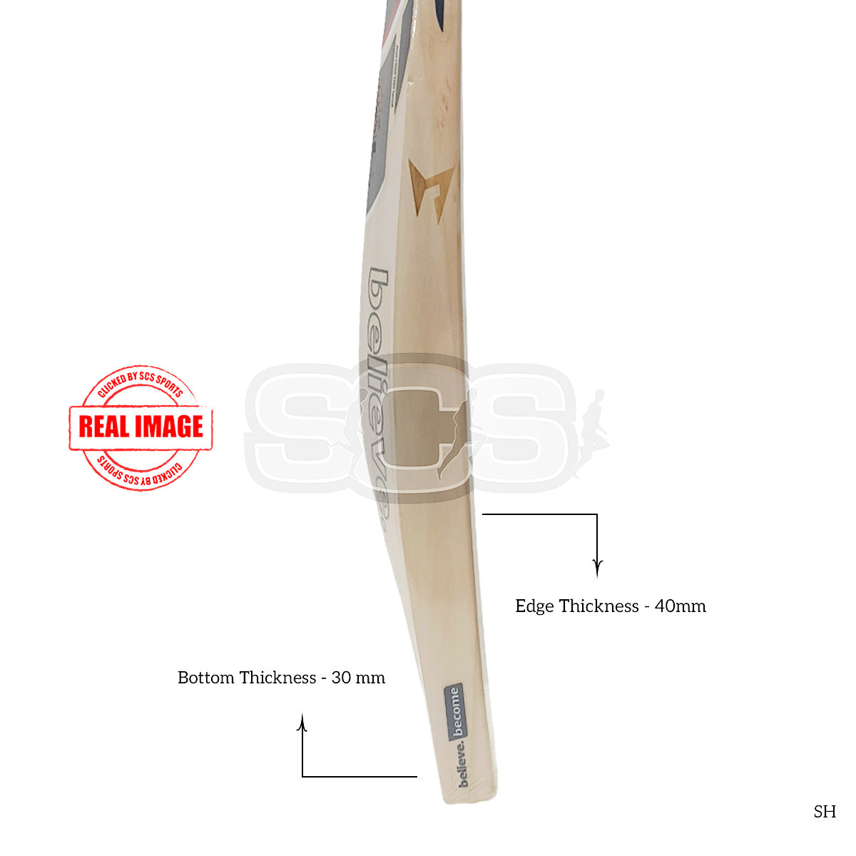 SG HP T-20 English Willow Cricket Bat