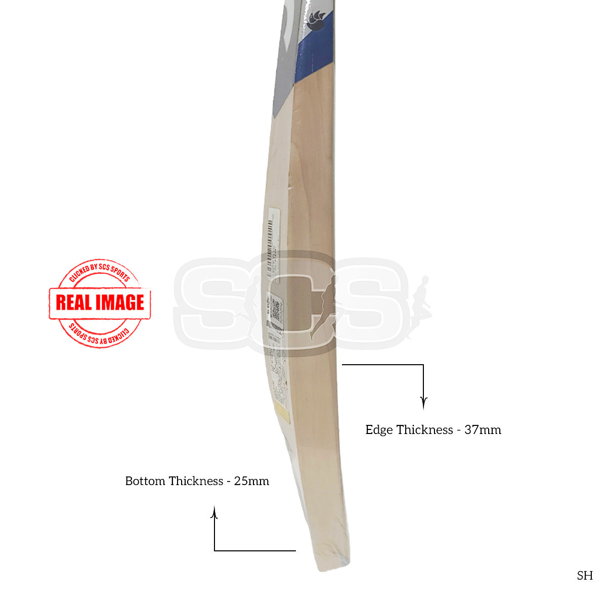 DSC Blak 330 English Willow Cicket Bat