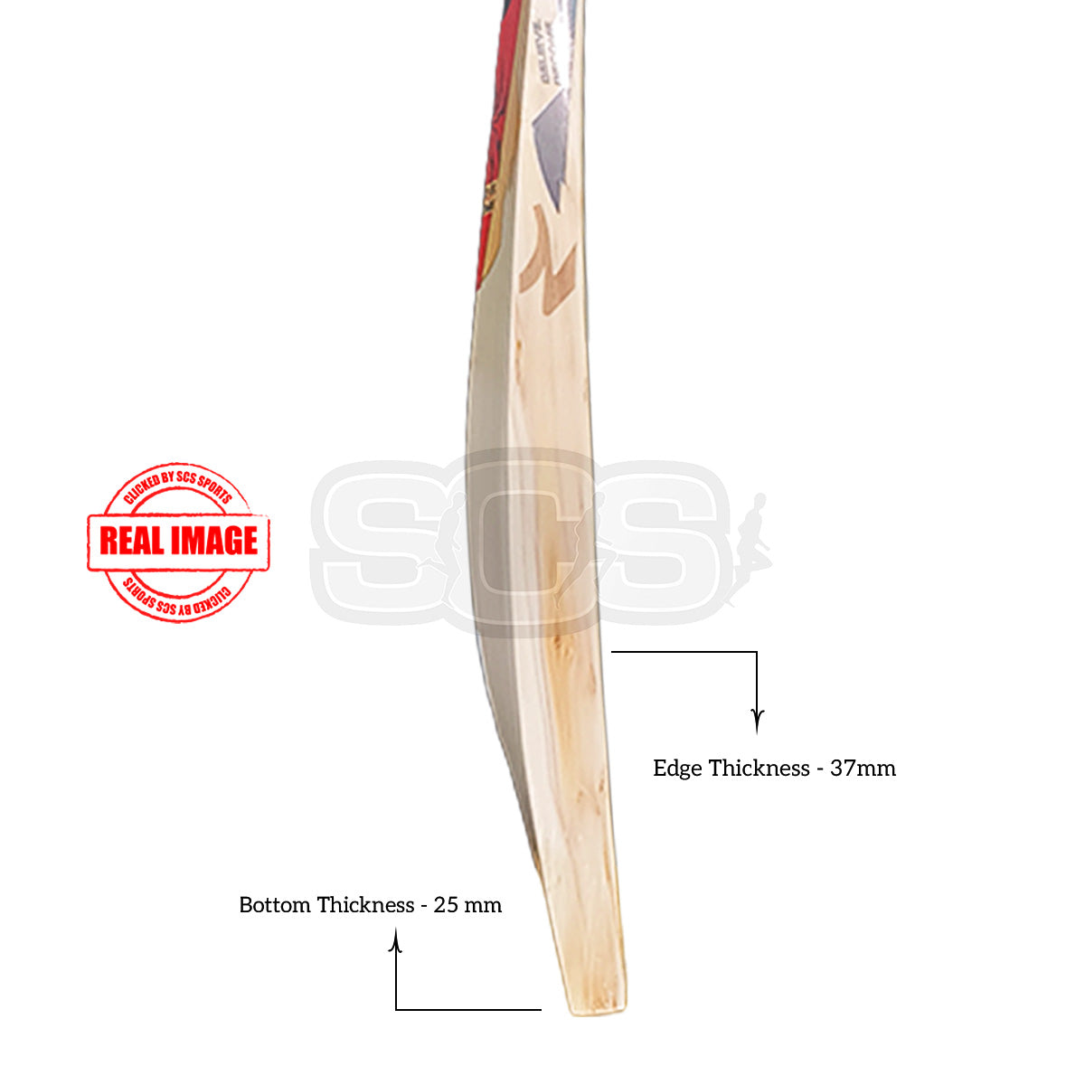 SG RP LE English Willow Cricket Bat (Harrow)