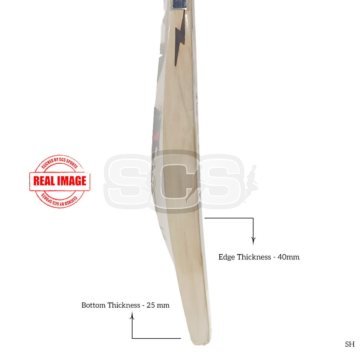 BDM Punisher English Willow Cricket Bat