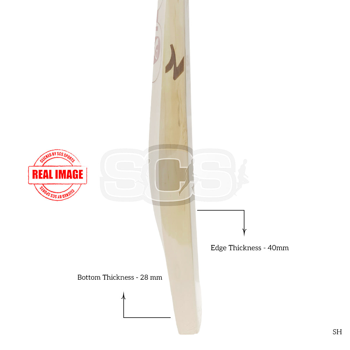 SG Arc 4.0 (Sunny Tonny) English Willow Cricket Bat