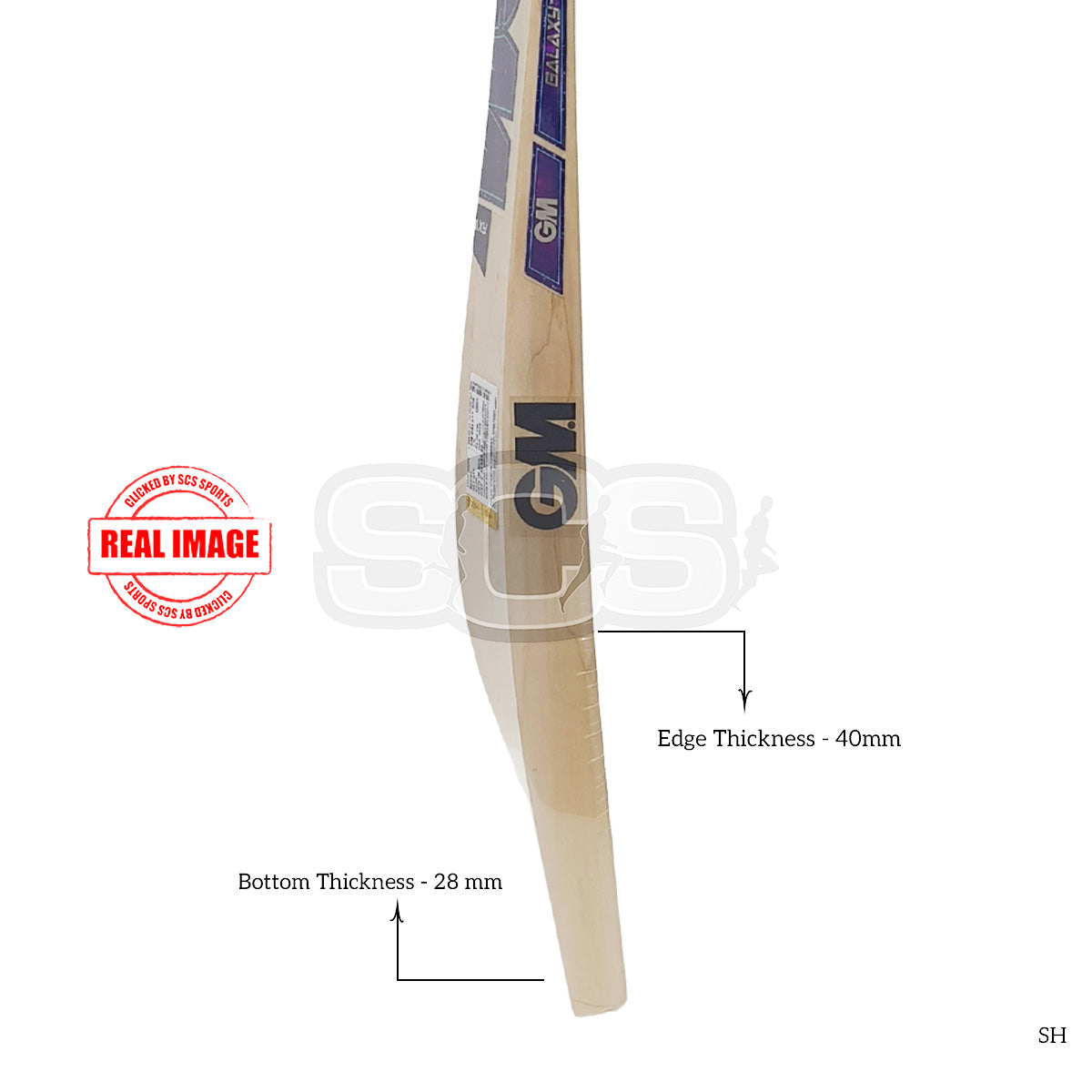 GM Galaxy 808 English Willow Cricket Bat