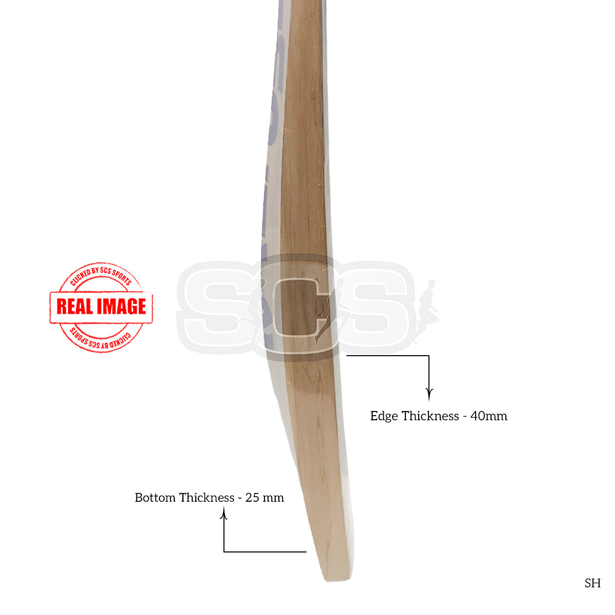 BAS Msd Player English Willow Cricket Bat