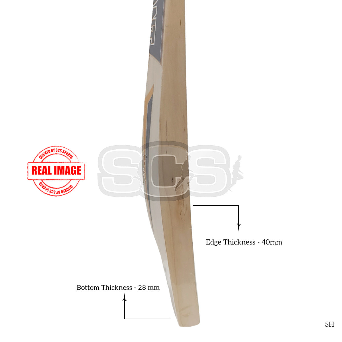 Versant Rook Series English Willow Cricket Bat