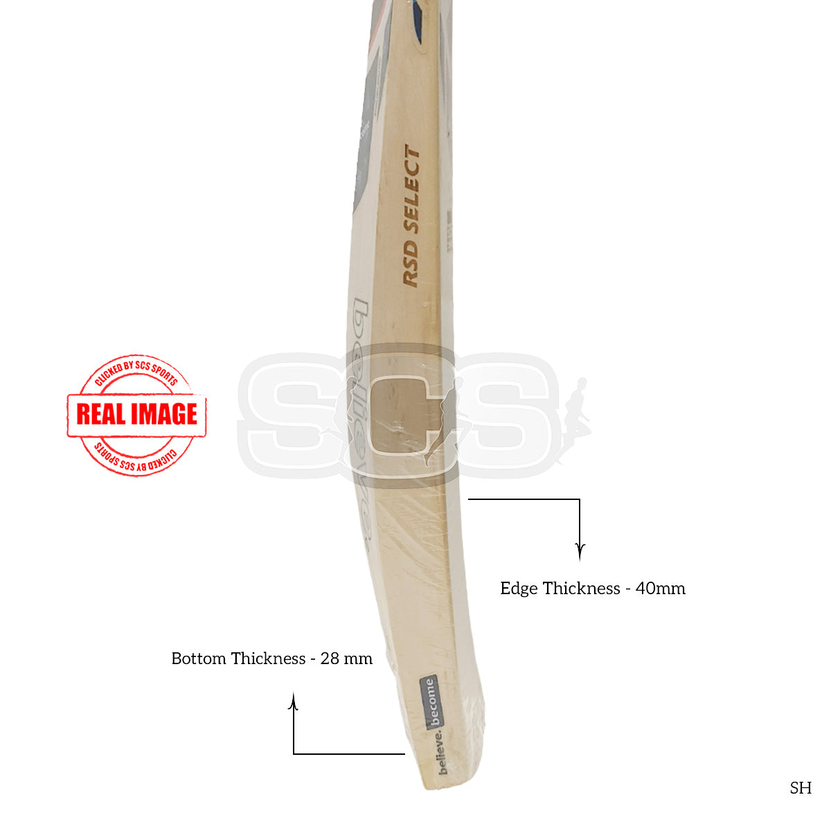 SG RSD Select English Willow Cricket Bat