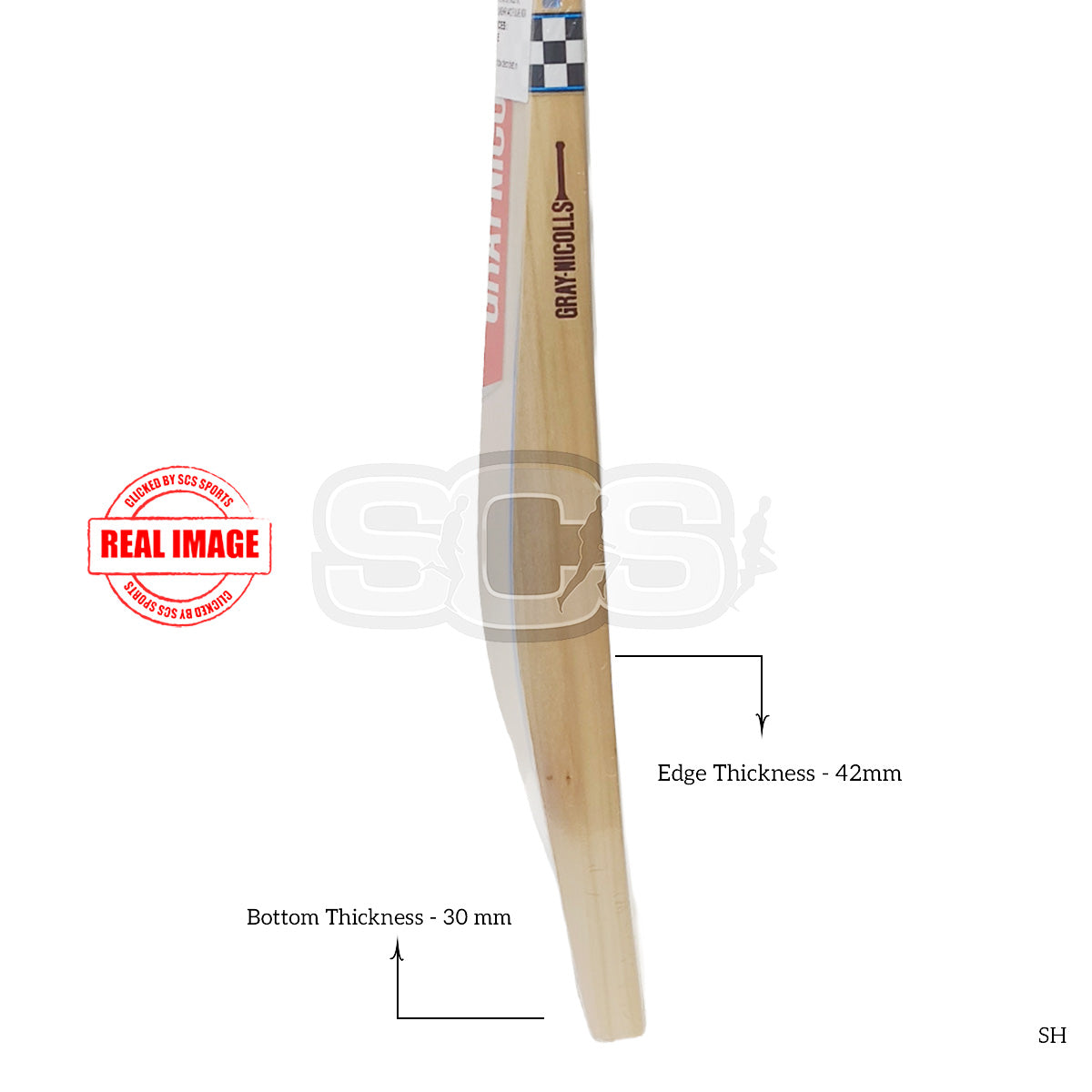 Gray Nicolls Colossus GN5 English Willow Cricket Bat
